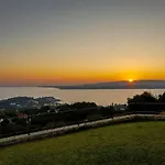 Bay فيلة *